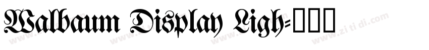 Walbaum Display Ligh字体转换 Walbaum Display Ligh字体转换